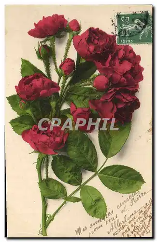 Cartes postales Fantaisie Fleurs