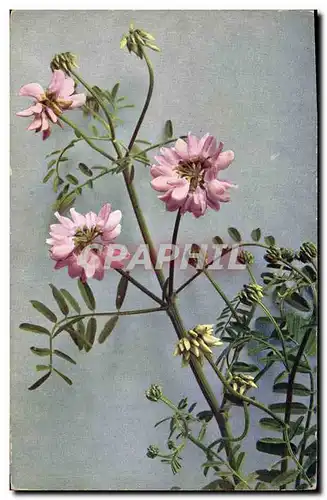 Cartes postales Fantaisie Fleurs