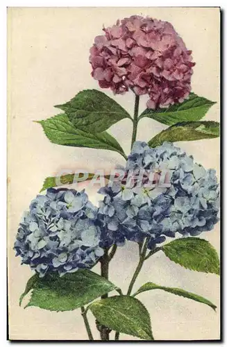 Cartes postales Fantaisie Fleurs