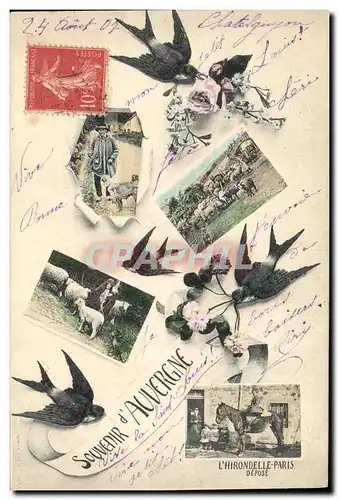 Cartes postales Folklore Auvergne Cheval Hirondelle Agneau