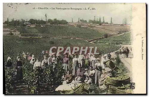 Cartes postales Vin Vendanges en Bourgogne Cote d&#39Or TOP
