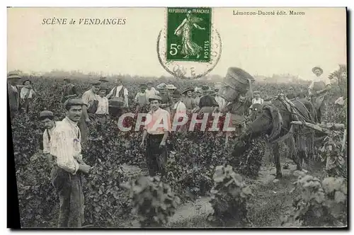Cartes postales Vin Vendanges TOP