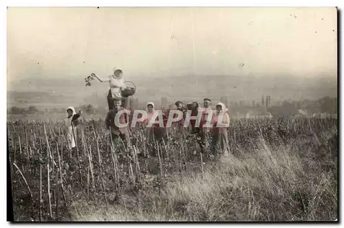 CARTE PHOTO Vin Vendanges