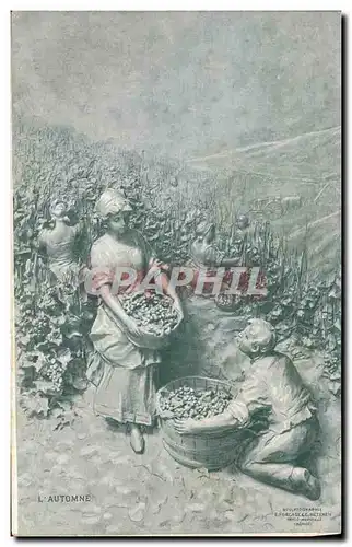 Cartes postales Vin Vendanges L&#39automne Fraissinet Teinturerie Blanchisserie de la Mediterranee Chemin de Sai