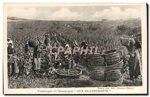 Ansichtskarte AK Vin Vendanges en Bourgogne Aux Champimonts