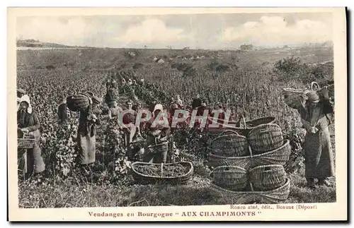 Cartes postales Vin Vendanges en Bourgogne Aux Champimonts