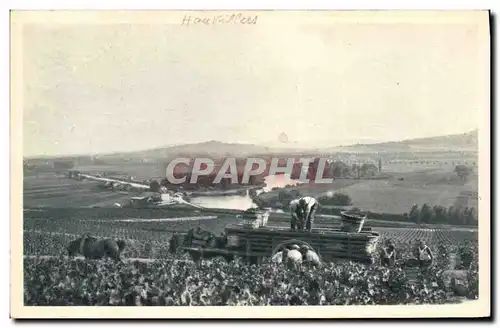 Ansichtskarte AK Vin Vendanges Scene de vendange a Hautvillers