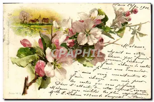 Cartes postales Fantaisie Fleurs