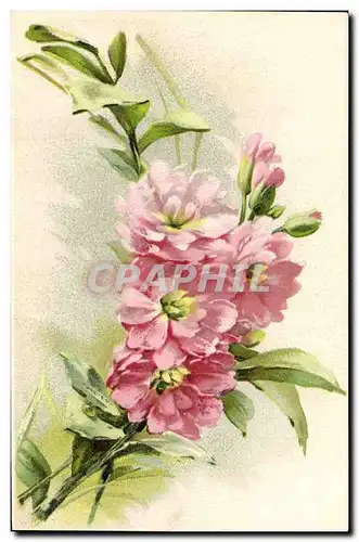 Cartes postales Fantaisie Fleurs