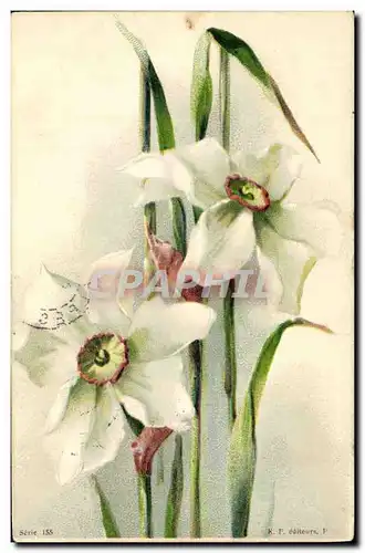 Cartes postales Fantaisie Fleurs