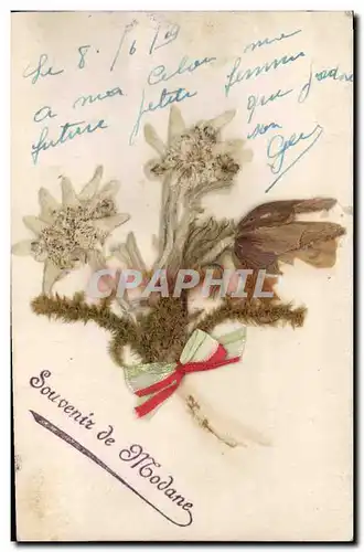 Cartes postales Fantaisie Fleurs sechees Modane