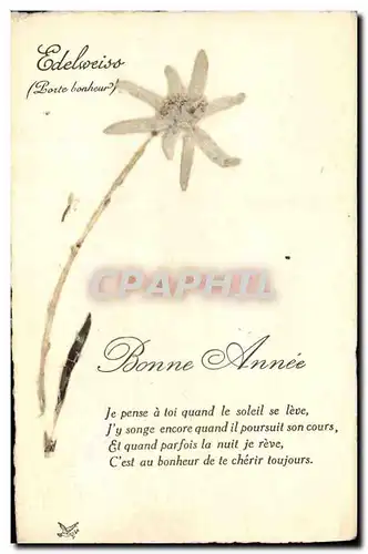 Cartes postales Fantaisie Fleurs sechees Edelweiss