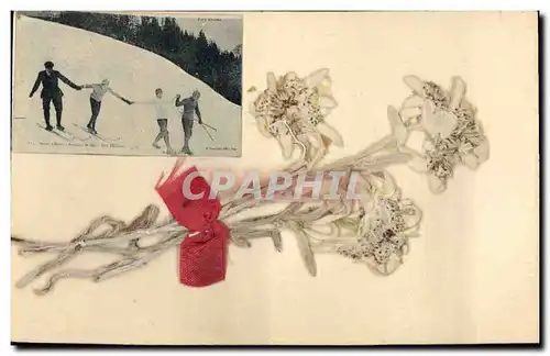 Ansichtskarte AK Fantaisie Fleurs sechees Ski
