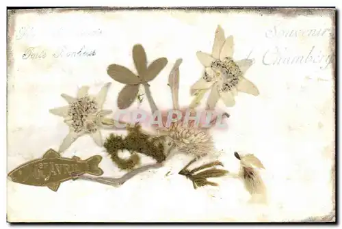 Cartes postales Fantaisie Fleurs sechees