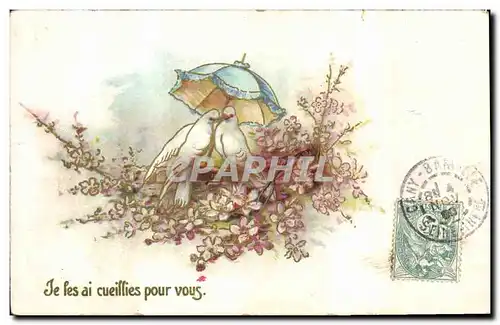 Cartes postales Fantaisie Fleurs Colombes