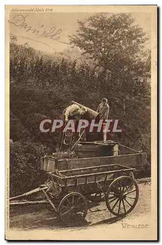 Cartes postales Vin Vendanges Weinlese