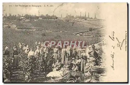 Cartes postales Vin Vendanges en Bourgogne