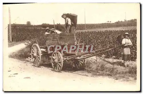 Cartes postales Folklore Vin Vendanges en Bourgogne La hotte plaine