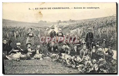 Cartes postales Folklore Vin Scenes de Vendanges