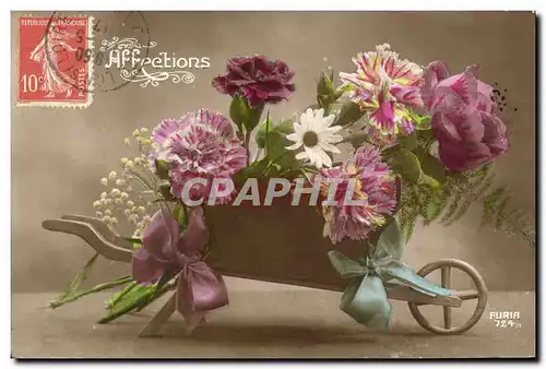 Cartes postales Brouette Fleurs