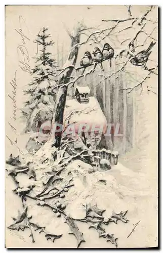 Cartes postales Fantaisie Bonne annee Oiseaux