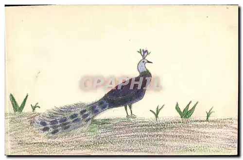 Cartes postales Fantaisie (dessin a la main) Paon Oiseau