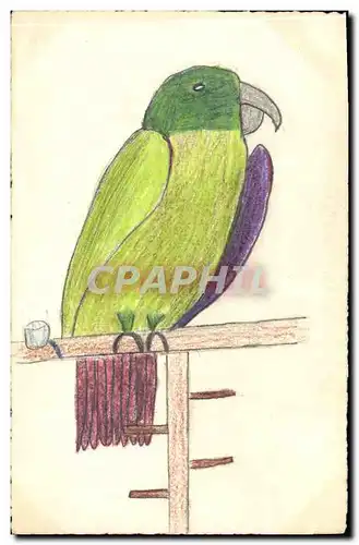 Cartes postales Fantaisie (dessin a la main) Perruche Oiseau