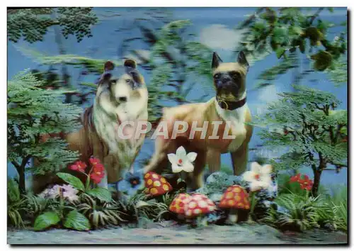 Cartes postales moderne Fantaisie Chiens (d�cor en relief)