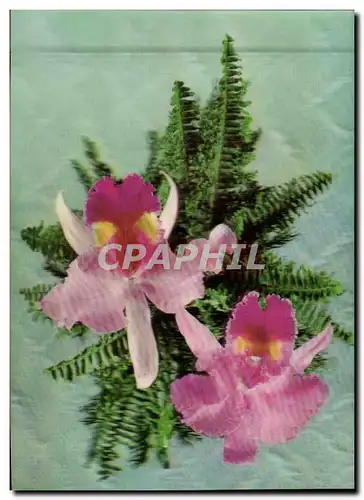 Cartes postales moderne Fantaisie Fleurs (d�cor en relief)