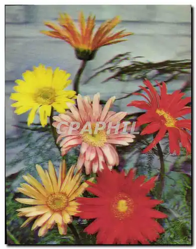 Cartes postales moderne Fantaisie Fleurs (d�cor en relief)