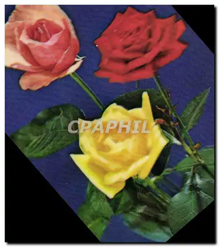 Cartes postales moderne Fantaisie Fleurs (d�cor en relief)