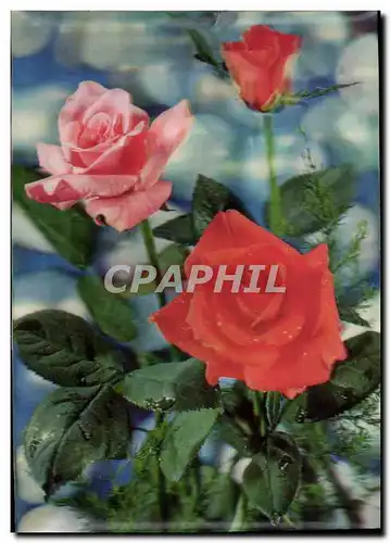 Cartes postales moderne Fantaisie Fleurs (d�cor en relief)