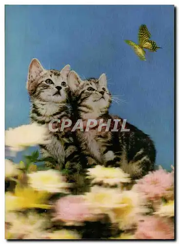 Moderne Karte Fantaisie Chats Chatons Papillon (d�cor en relief)