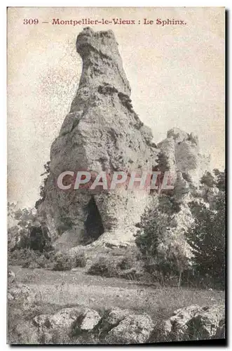 Cartes postales Grotte Grottes Montpellier le Vieux Le sphinx