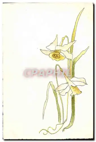 Cartes postales Fantaisie (dessin a la main) Fleurs