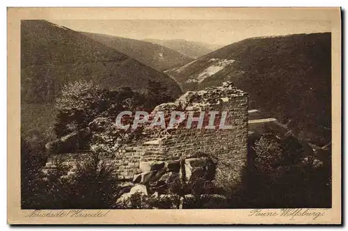 Cartes postales Chateau Ruine Wolfsburg