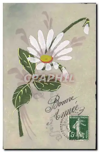 Cartes postales Carte transparente Fleurs