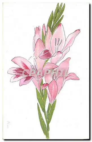 Cartes postales Fantaisie (dessin a la main) Fleurs