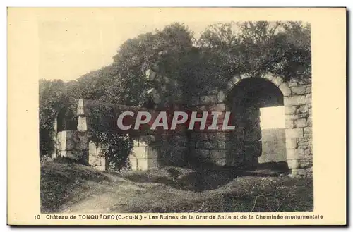 Cartes postales Chateau de Tonquedec Les ruines de la grande salle et de la cheminee monumentale