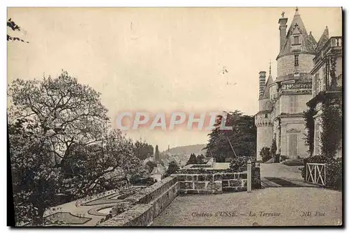 Cartes postales Chateau d&#39Usse La terrasse