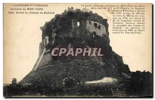 Ansichtskarte AK Environs du Mont Dore Ruines du Chateau de Murols