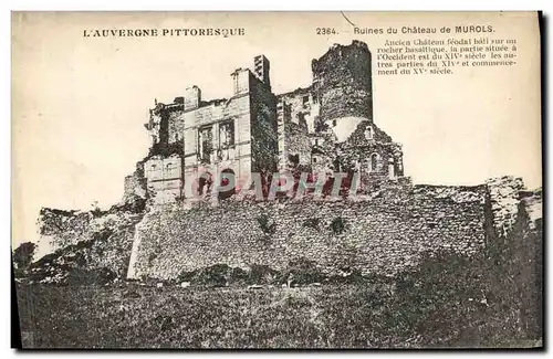Ansichtskarte AK Ruines du Chateau de Murols Auvergne