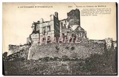 Cartes postales Ruines du Chateau de Murols Auvergne