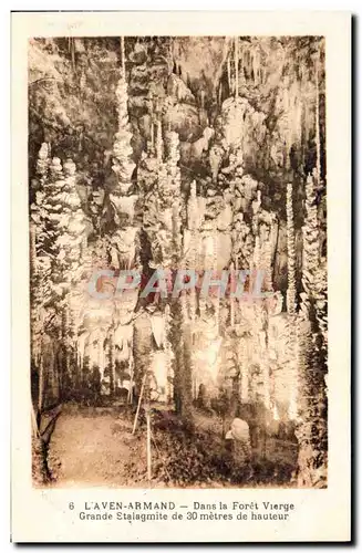 Ansichtskarte AK Grotte Grottes L&#39Aven Armand Dans le foret vierge Grande stalagmite