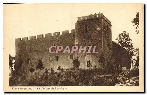 Cartes postales Chateau Evian les Bains Le chateau de Larringes