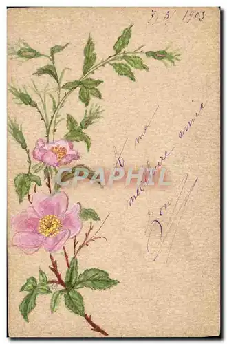 Cartes postales Fantaisie (dessin a la main) Fleurs