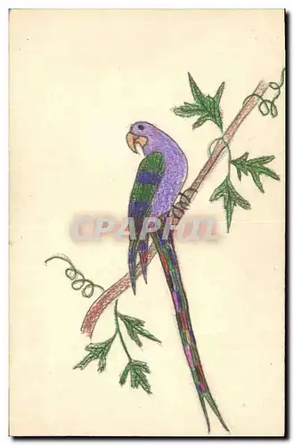 Cartes postales Fantaisie (dessin a la main) Oiseau Perruche Perroquet