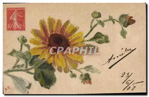 Cartes postales Fantaisie (dessin a la main) Fleurs