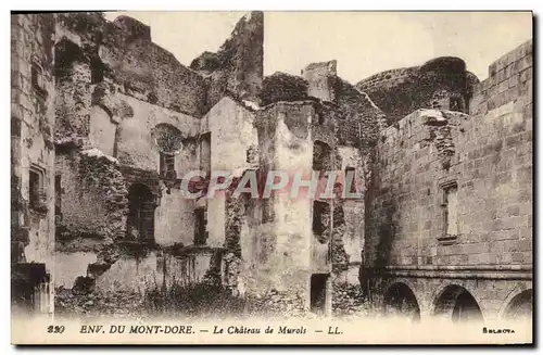 Ansichtskarte AK Chateau de Murols Environs du Mont Dore