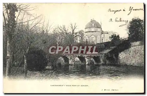 Cartes postales Chateau Chateauneuf Vieux pont et donjon